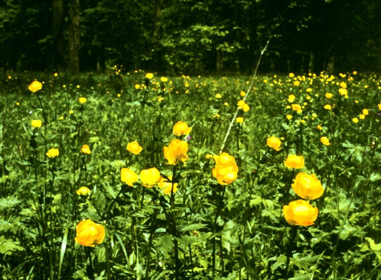 ��������� � ����� ����